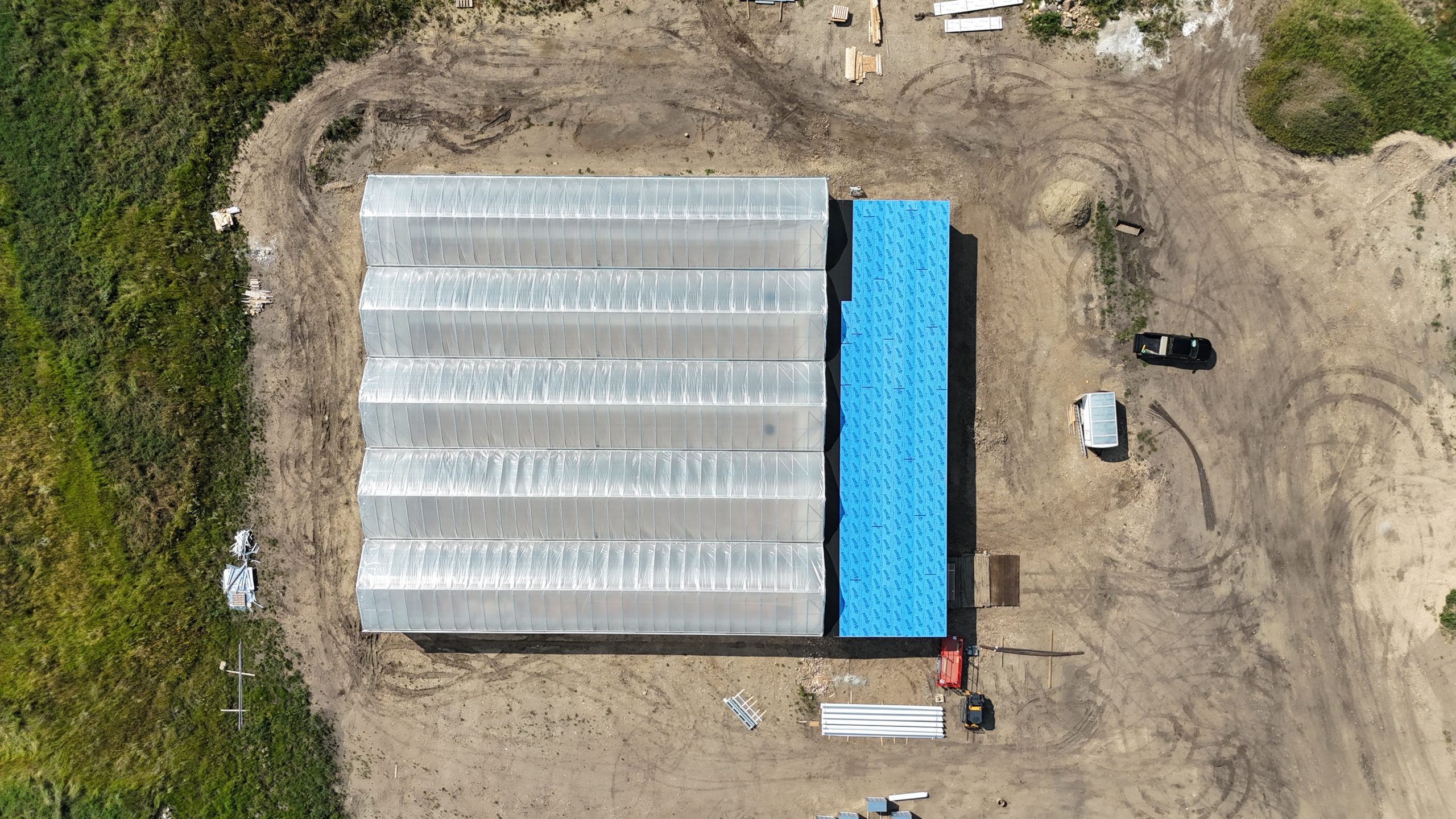 New Endeavours, New Experiences, and New Services